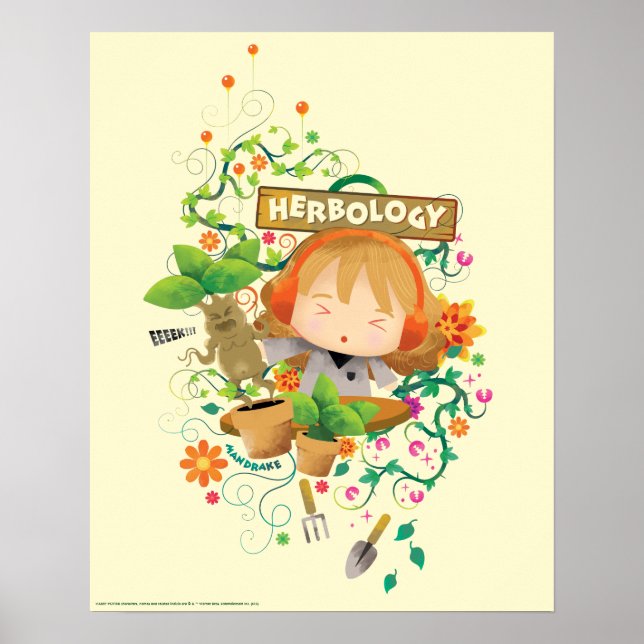 Poster Harry Potter | Hermione Herbology Class Graphic (Frente)