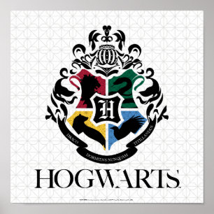 Poster Harry Potter   Parada escolar HOGWARTS™