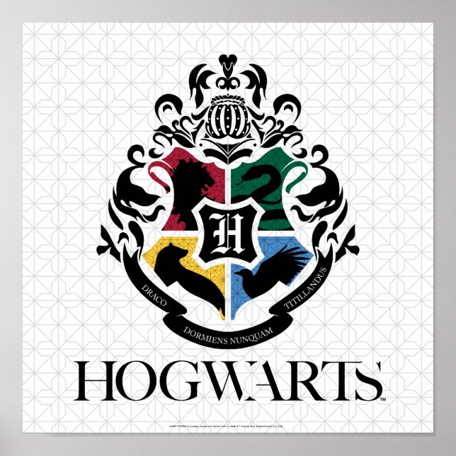 Poster Harry Potter | Parada escolar HOGWARTS™ (Frente)