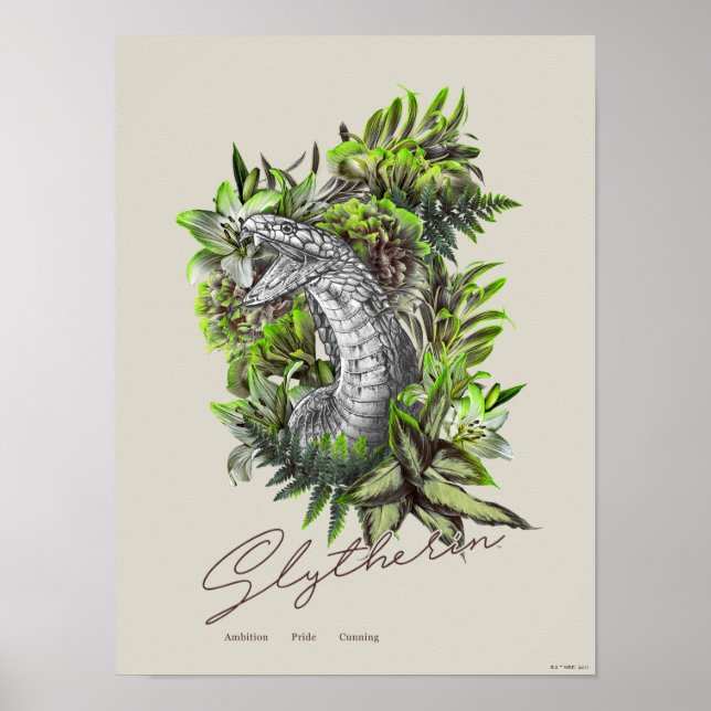 Poster HARRY POTTER™ SLYTHERIN™  Floral Graphic (Frente)