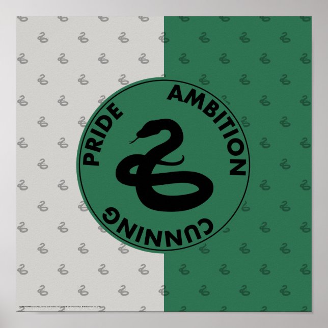 Poster Harry Potter | Traços para casas SLYTHERIN™ Gráfic (Frente)