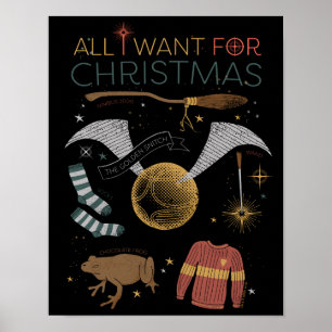 Poster HARRY POTTER™ Tudo o que eu quero no Natal