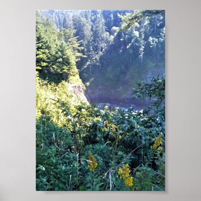 Poster Hart's Cove, Oregon Coast (Frente)