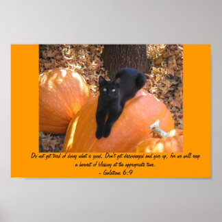 Pôster Harvest Kitten