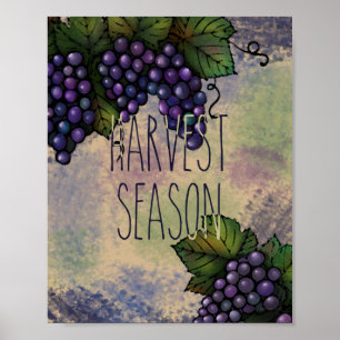 Poster Harvest Season Uvas Roxas