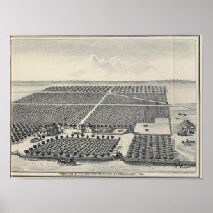 Poster Hastie Vineyard, California