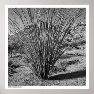 Poster Hastings Natural History Reservation