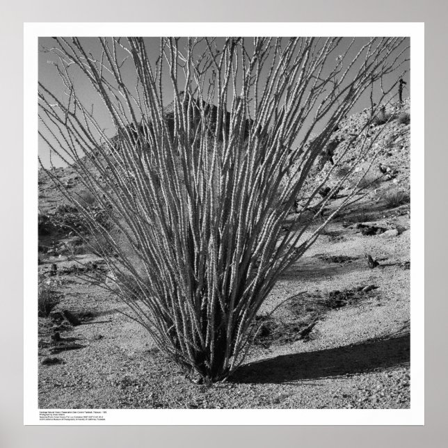 Poster Hastings Natural History Reservation (Frente)