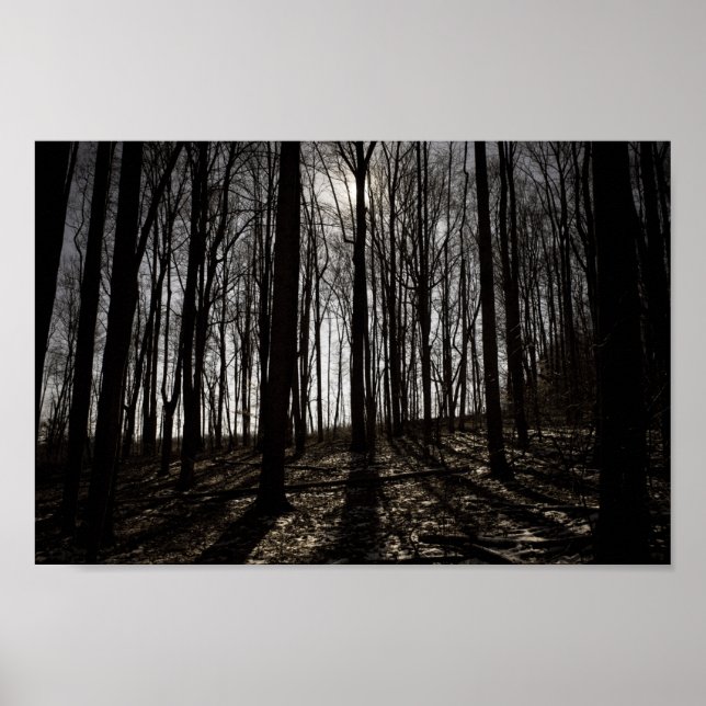 Poster Haunting (Frente)