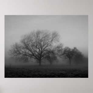 Pôster Haunting Fog Canvas
