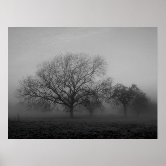 Pôster Haunting Fog Canvas (Frente)