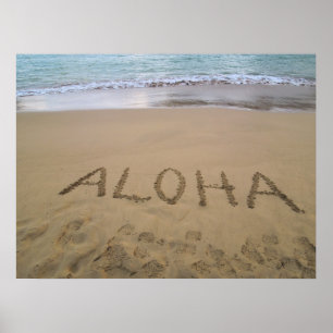Pôster Havaí Aloha