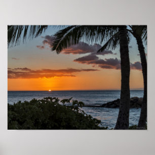 Poster havaiano tropical do por do sol