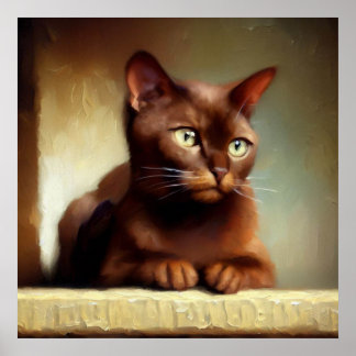Poster Havana Brown Cat