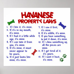 PÔSTER HAVANESE PL2