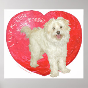 Pôster Havanese / Westie Mistura Dia dos Namorados