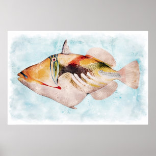 Poster Hawaiai Triggerfish Fish Watercolor