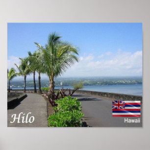Poster Hawaii - Hilo -