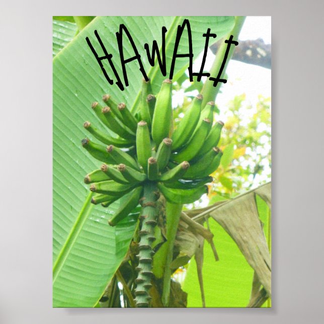 POSTER HAWAII NATURE (Frente)