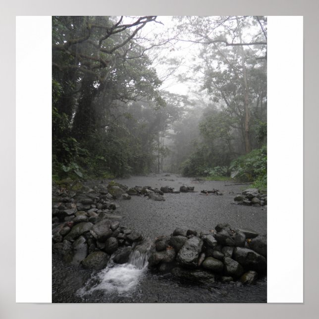 Pôster Hawaii Rain (Frente)