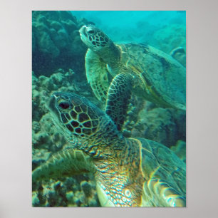 Poster Hawaii Sea Turtle