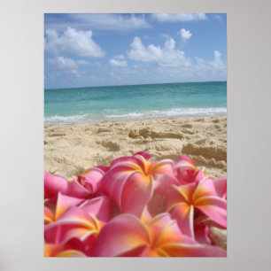 Poster Hawaiian Dayz