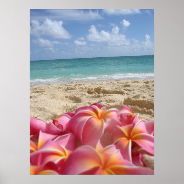 Poster Hawaiian Dayz (Frente)