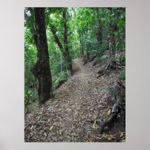 Poster Hawaiian Hiking Trail