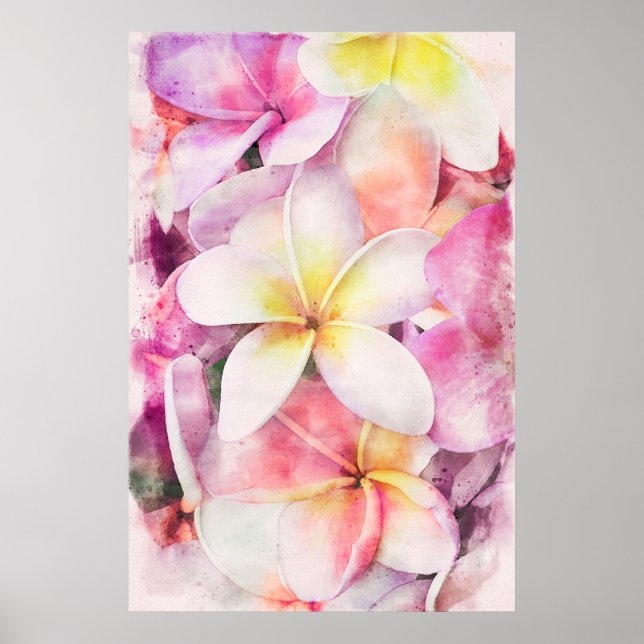 Poster Hawaiian Plumeria Tropical Floral Watercolor (Frente)