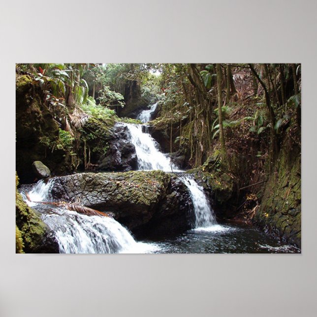 Pôster Hawaiin Waterfall (Frente)