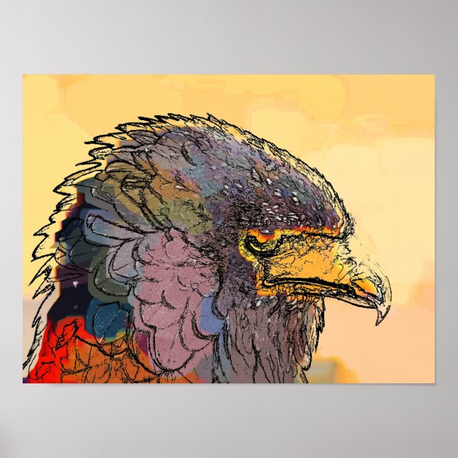 PÔSTER HAWK (Frente)