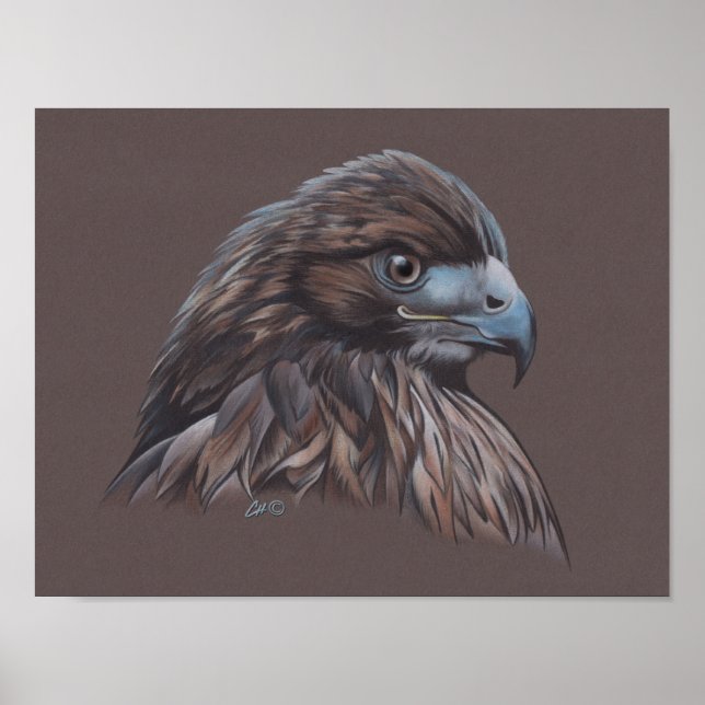 Poster Hawk (Frente)