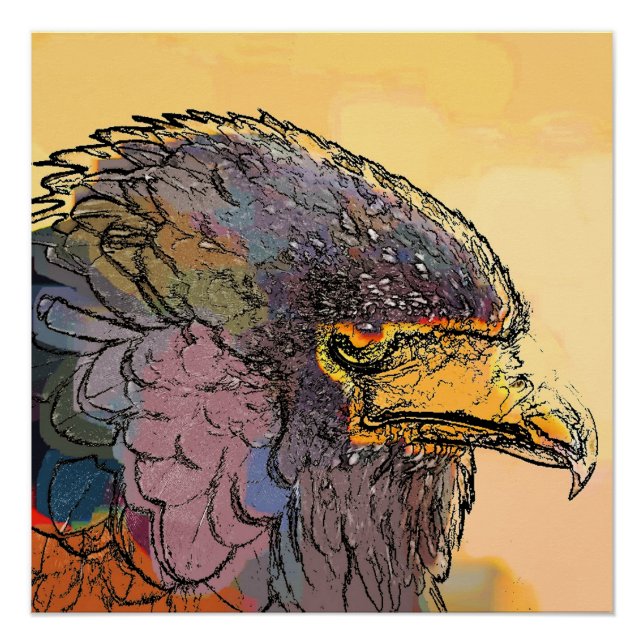 PÔSTER HAWK (Frente)