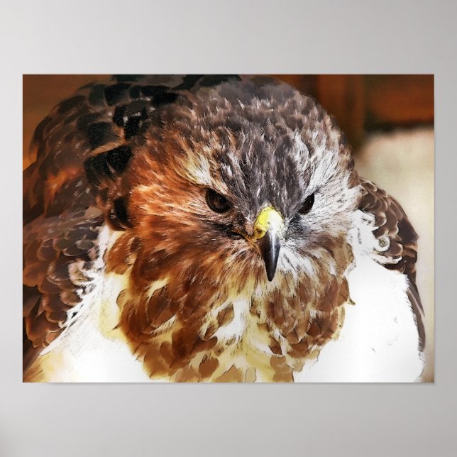 PÔSTER HAWK (Frente)