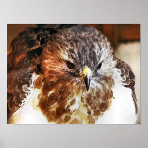 PÔSTER HAWK