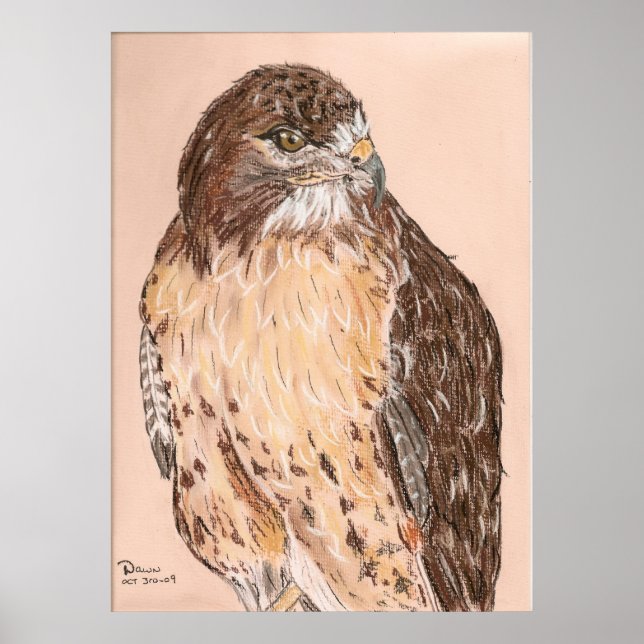 Pôster Hawk (Frente)