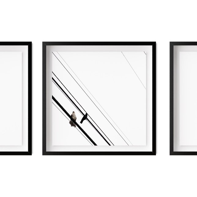 Poster Hawk e Crow nos Powerlines (Criador carregado)