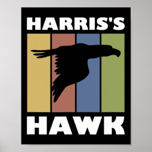 Poster Hawk Falcon Hunter