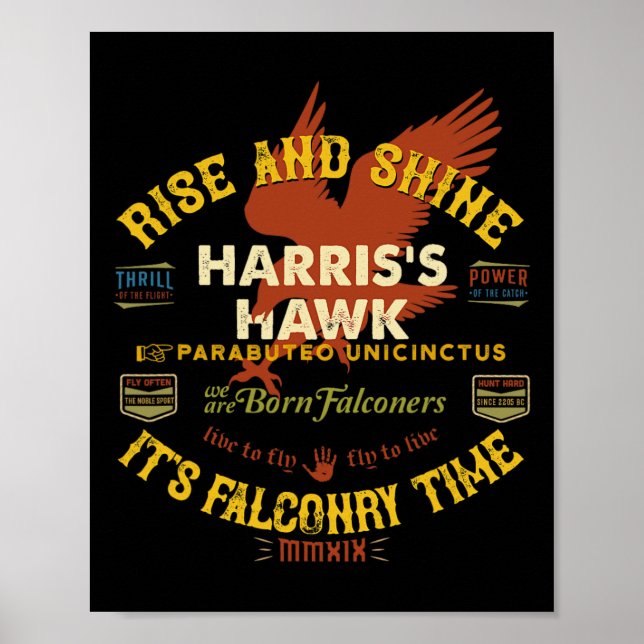 Poster Hawk Falconry Design Harris Hawk Falconry (Frente)