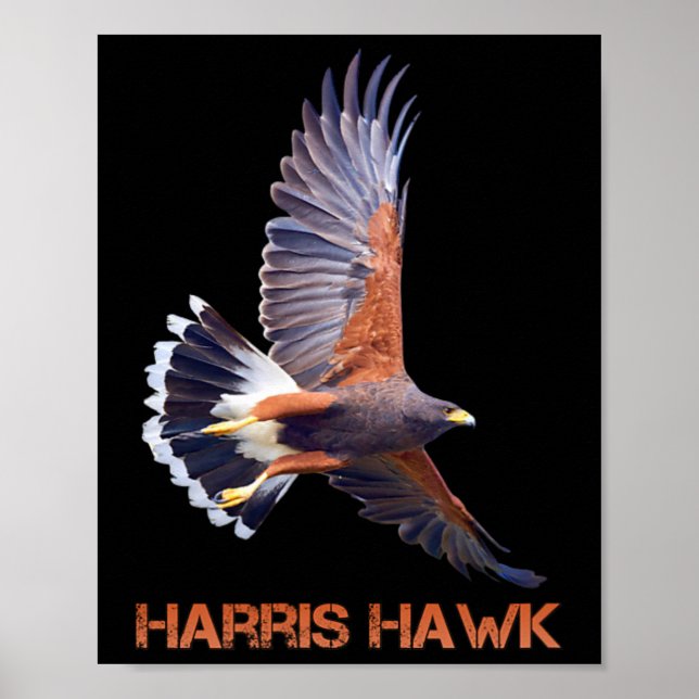 Poster Hawk Kamala Harris Para Presidente (Frente)