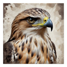 Pôster Hawk no 2 Poster brilhante