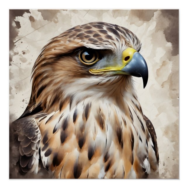 Pôster Hawk no 2 Poster brilhante (Frente)