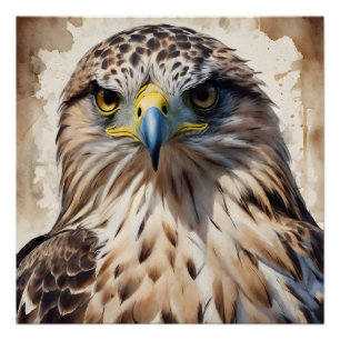 Pôster Hawk no 3 Poster brilhante