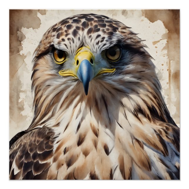 Pôster Hawk no 3 Poster brilhante (Frente)