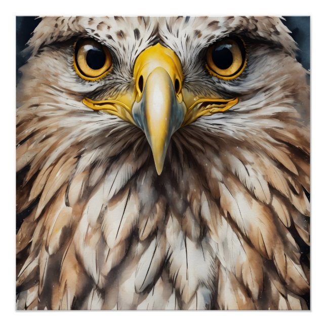 Pôster Hawk no 5 Glossy Poster (Frente)