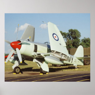Pôster Hawker Sea Fury na CAF, Minnesota Wing, no