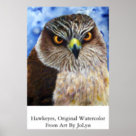 Pôster Hawkeyes