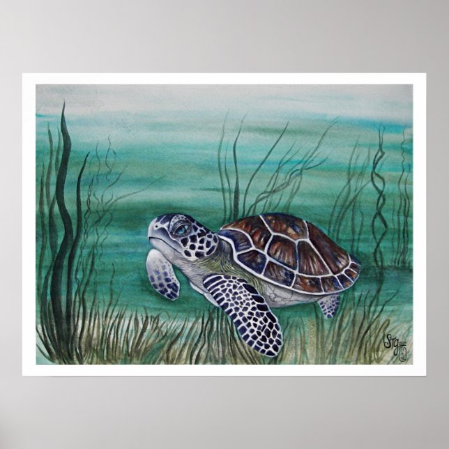 Poster Hawksbill Sea Turtle (Frente)