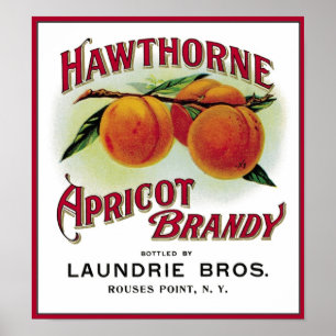 Pôster Hawthorne Apricot Brandy