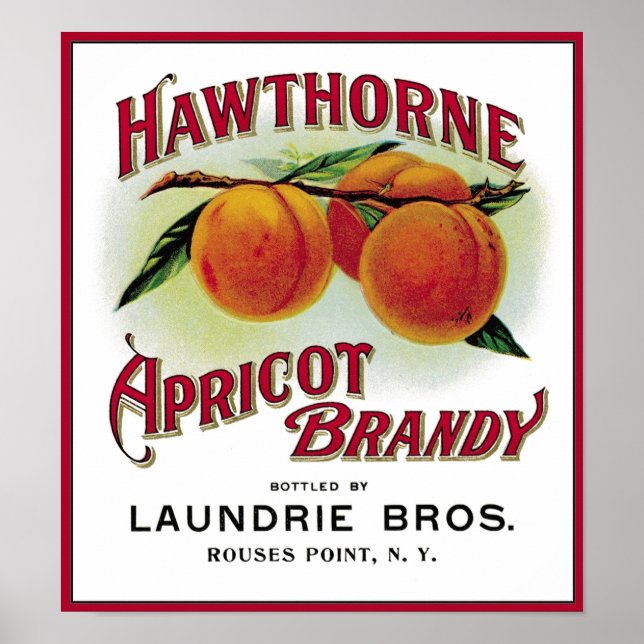 Pôster Hawthorne Apricot Brandy (Frente)
